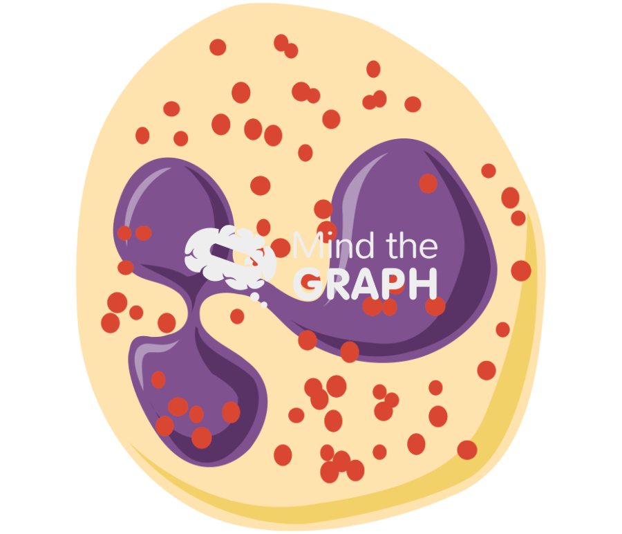 Eosinophil granulocyte Icons, Symbols, Pictures, and Images