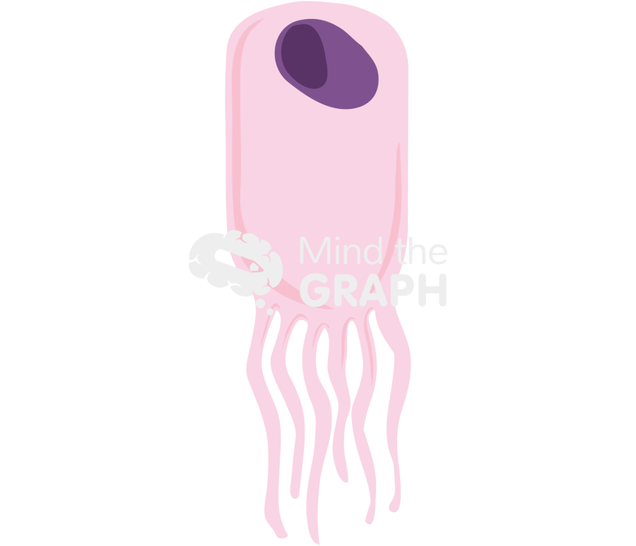 Ependymal cell Icons, Symbols, Pictures, and Images