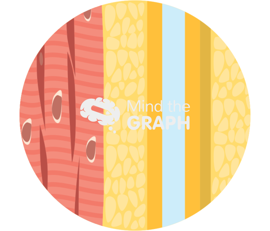 Epicardial adipose tissue zoom Icons, Symbols, Pictures, and Images