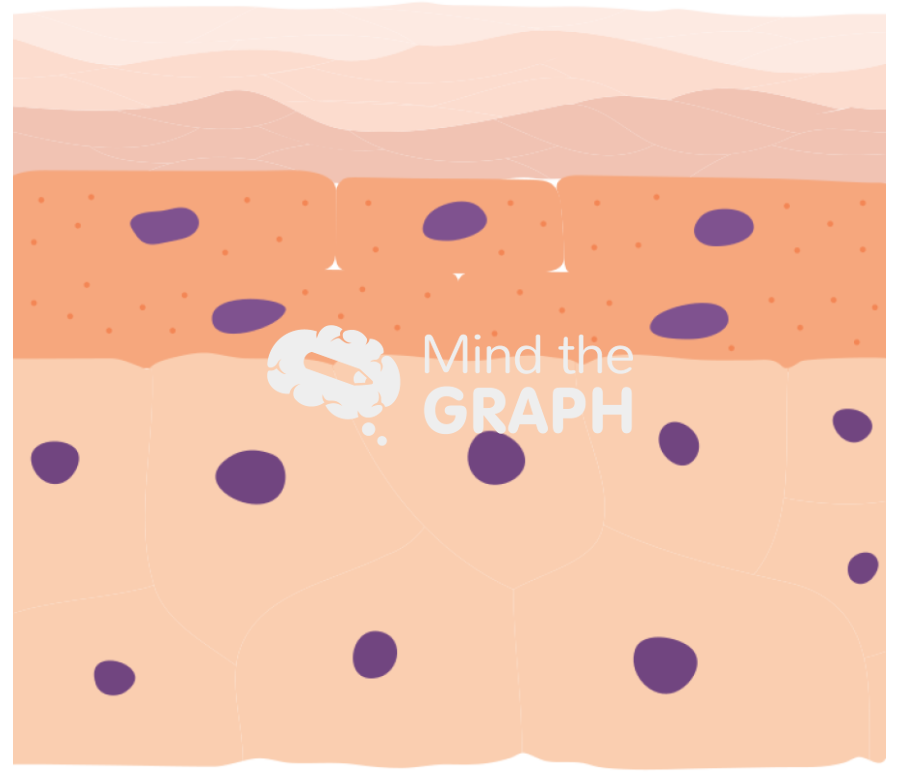 Epidermis 2 Icons, Symbols, Pictures, and Images