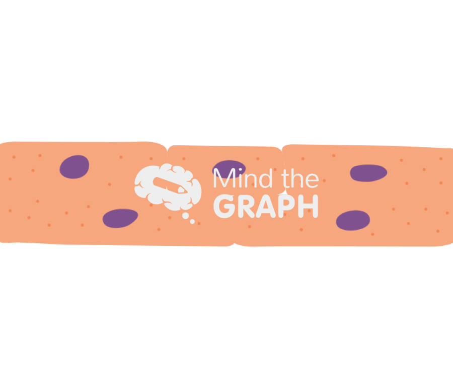 Epidermis granular cell Icons, Symbols, Pictures, and Images