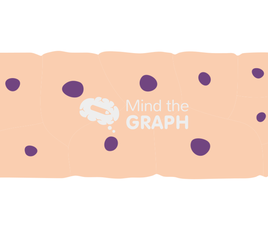 Epidermis spinous cell Icons, Symbols, Pictures, and Images