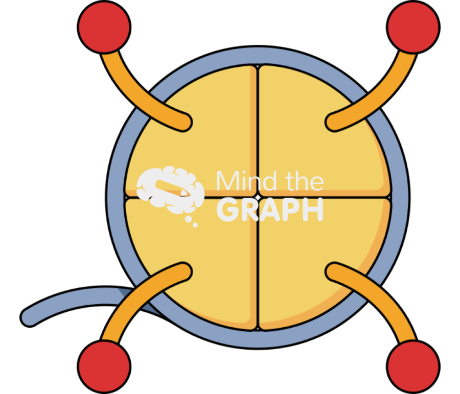 Epigenetics 3 Icons, Symbols, Pictures, and Images
