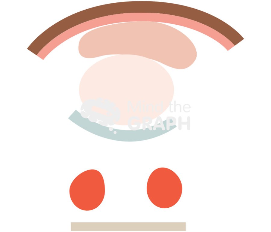 Equine tendon level 3a Icons, Symbols, Pictures, and Images