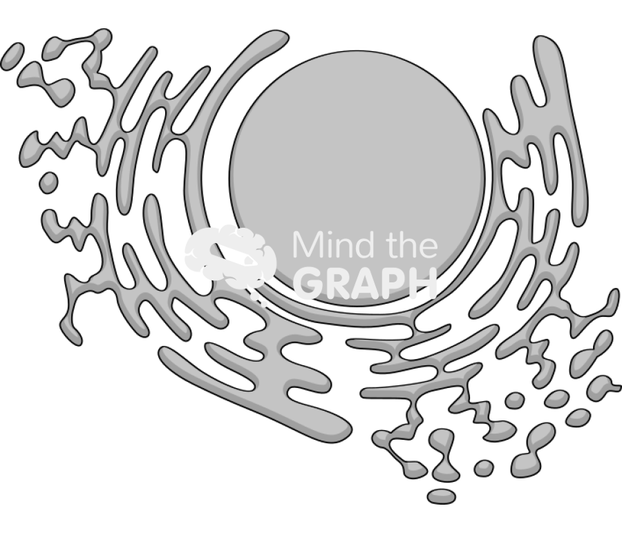 Er Icons, Symbols, Pictures, and Images