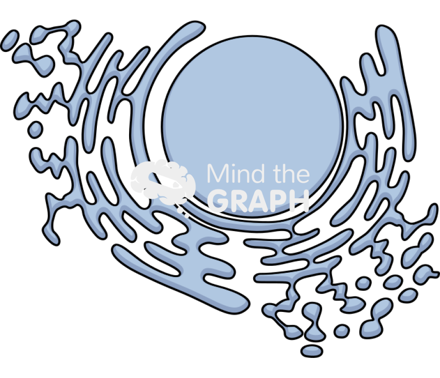 Er Icons, Symbols, Pictures, and Images