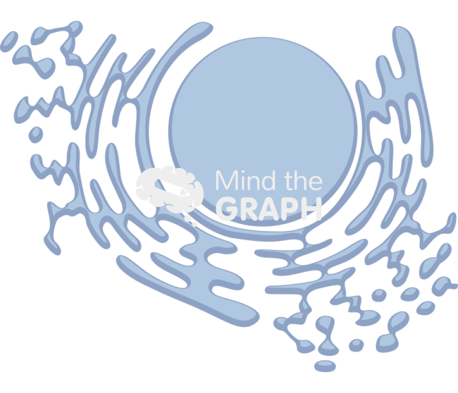 Er Icons, Symbols, Pictures, and Images