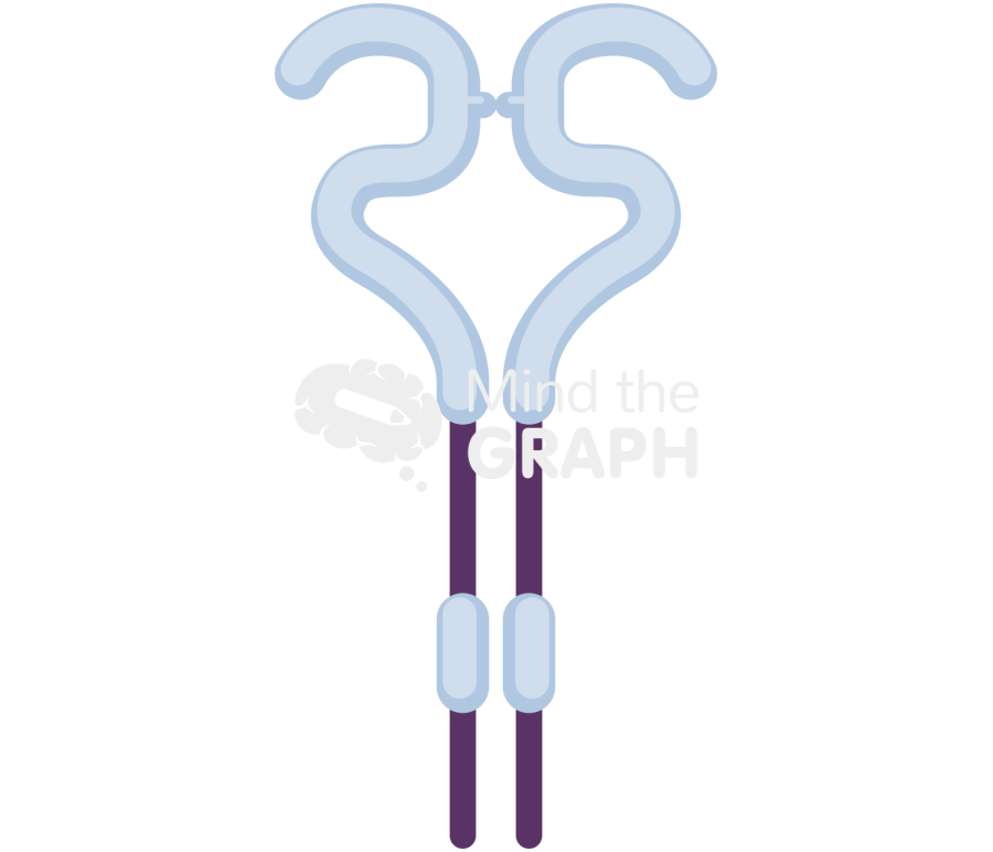 Erbb2 receptor Icons, Symbols, Pictures, and Images