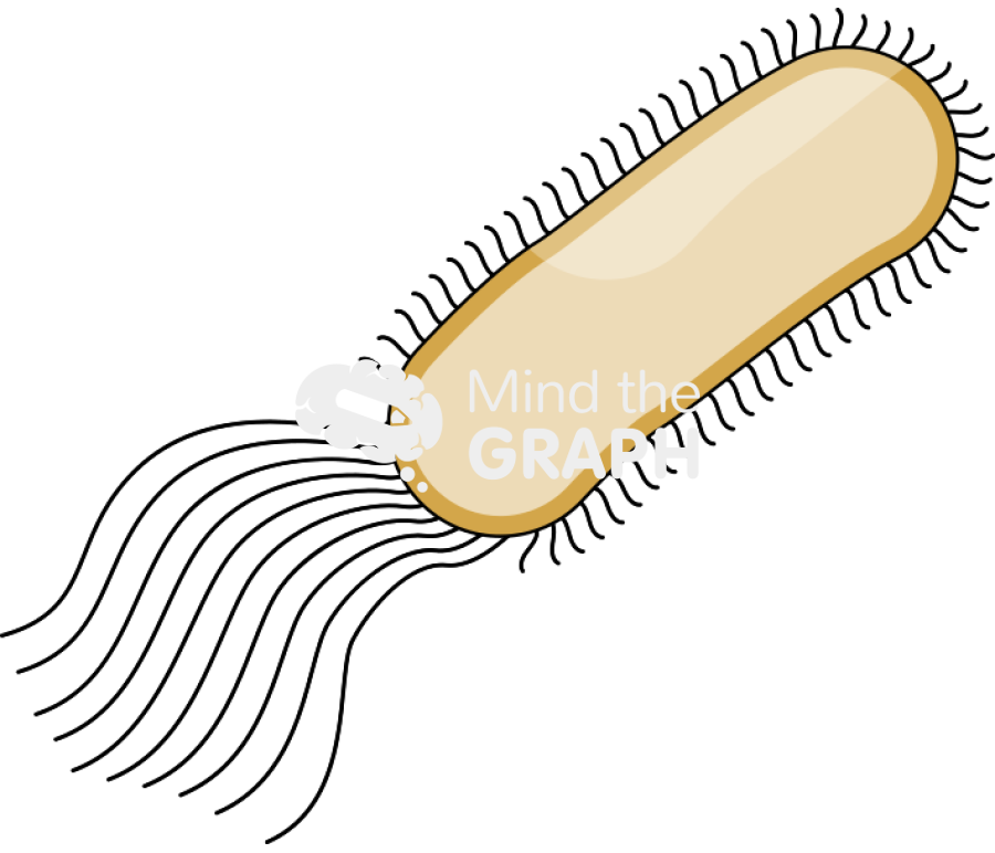 Escherichia coli bacteria empty Icons, Symbols, Pictures, and Images