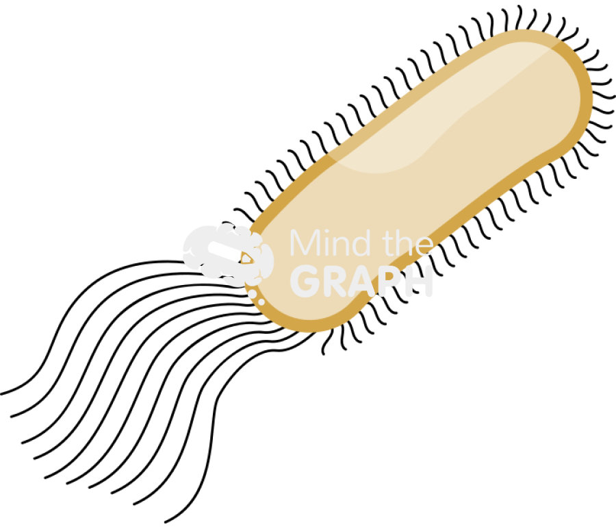Escherichia coli bacteria empty Icons, Symbols, Pictures, and Images