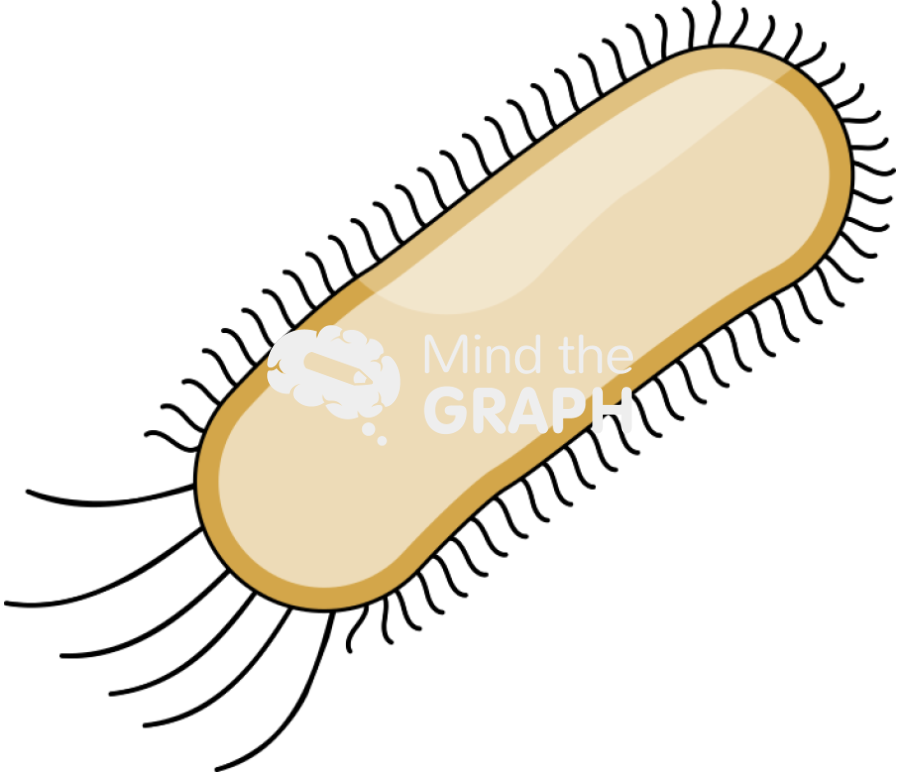 Escherichia coli bacteria empty 2 Icons, Symbols, Pictures, and Images