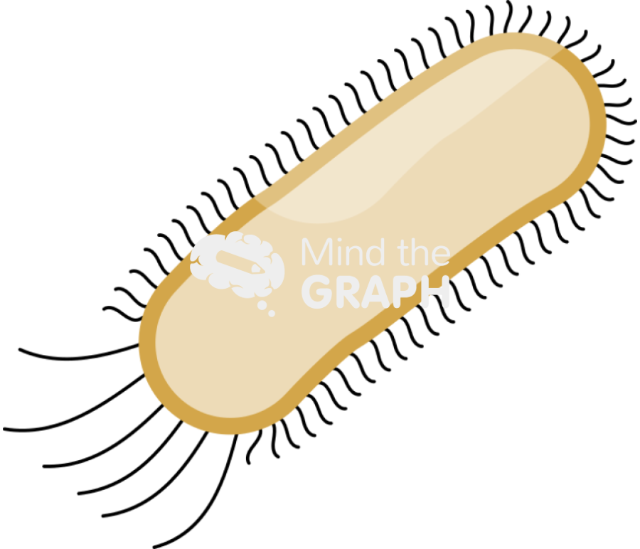 Escherichia coli bacteria empty 2 Icons, Symbols, Pictures, and Images