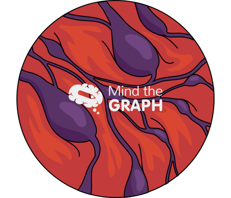 Esophageal varices stomach zoom Icons, Symbols, Pictures, and Images