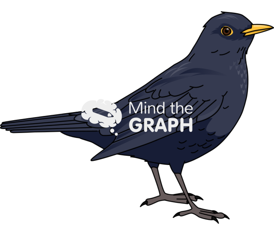 Eurasian blackbird turdus merula male Icons, Symbols, Pictures, and Images