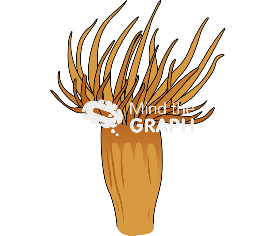 Exaiptasia diaphana anemone Icons, Symbols, Pictures, and Images