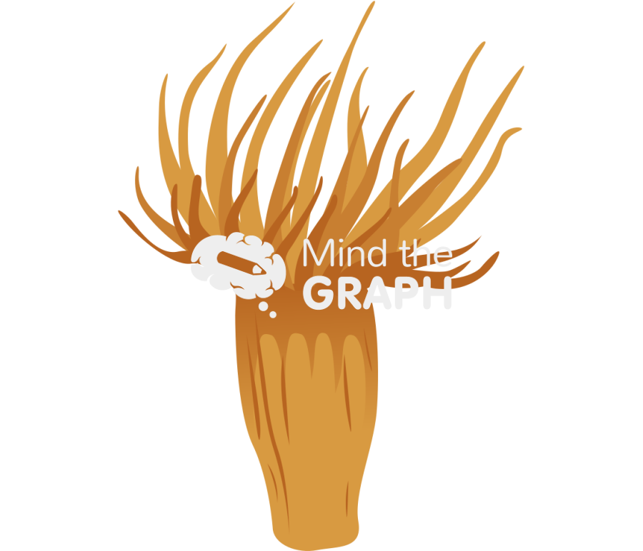 Exaiptasia diaphana anemone Icons, Symbols, Pictures, and Images