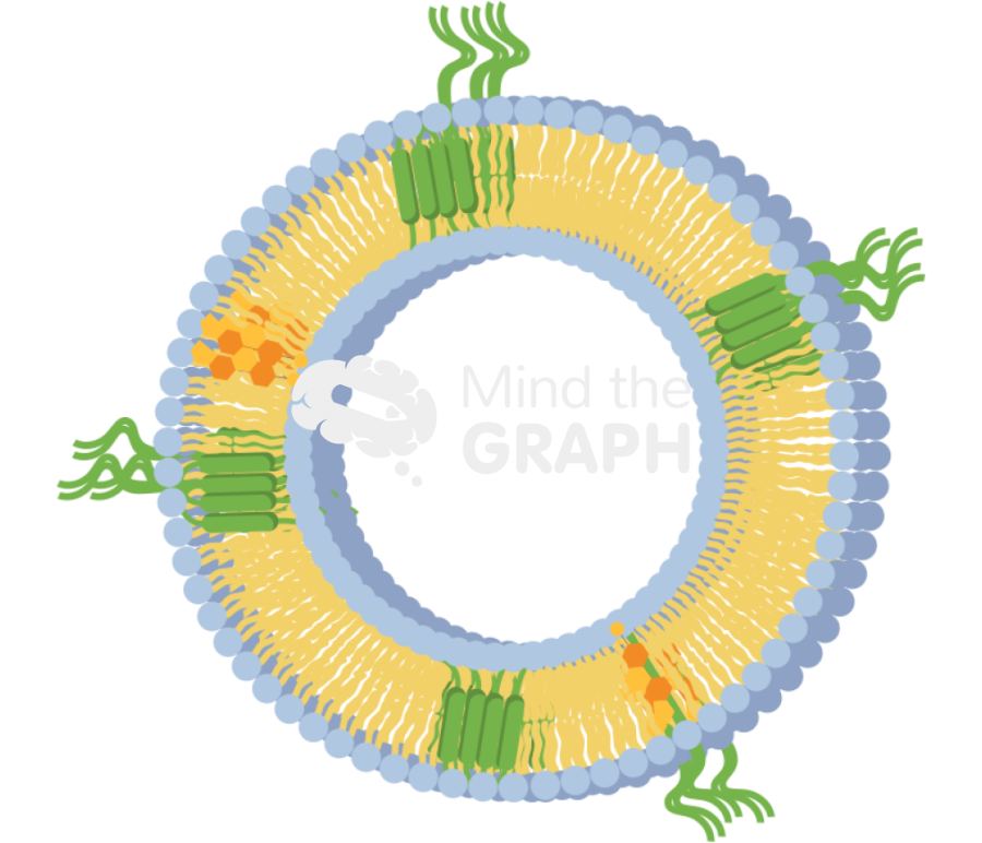 Extracellular vesicle Icons, Symbols, Pictures, and Images