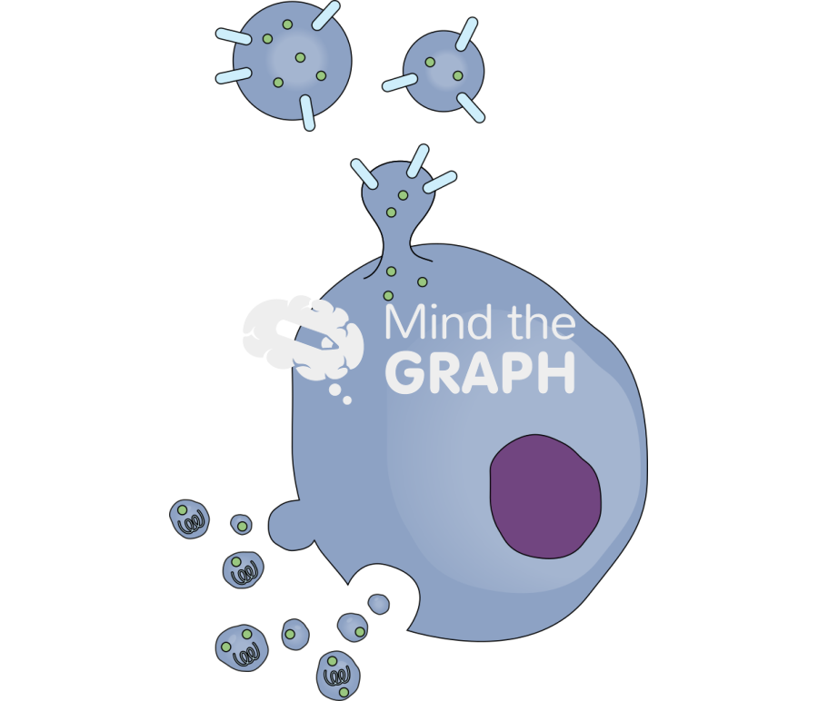 Extracellular vesicle biogenesis Icons, Symbols, Pictures, and Images