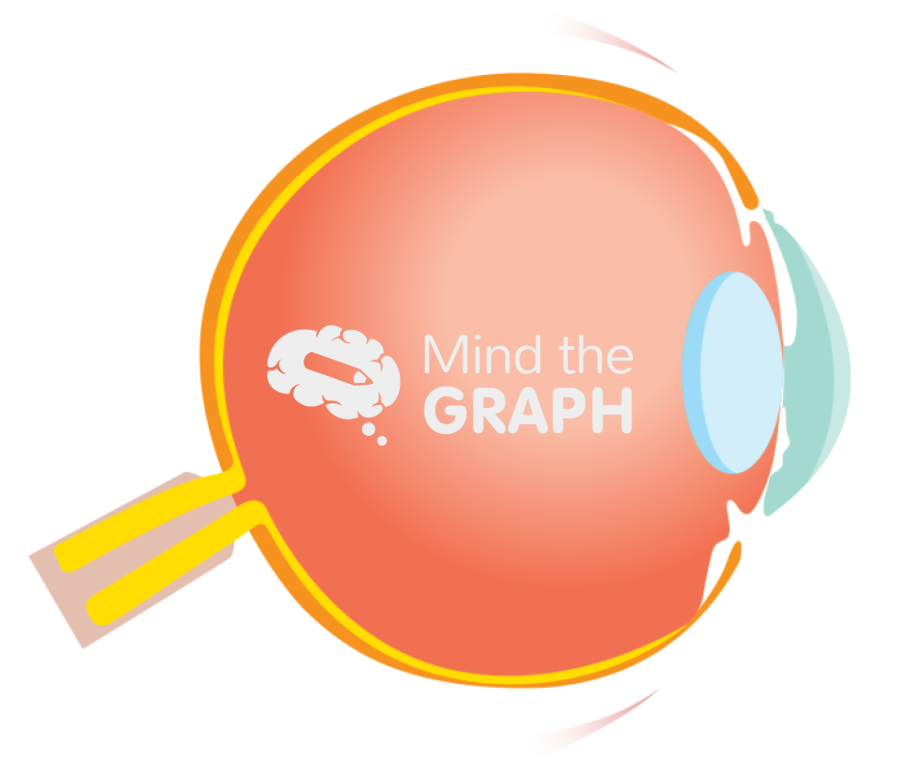 Eye side cut Icons, Symbols, Pictures, and Images