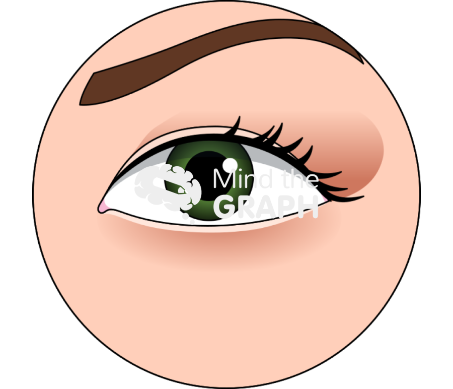 Eye woman zoom Icons, Symbols, Pictures, and Images
