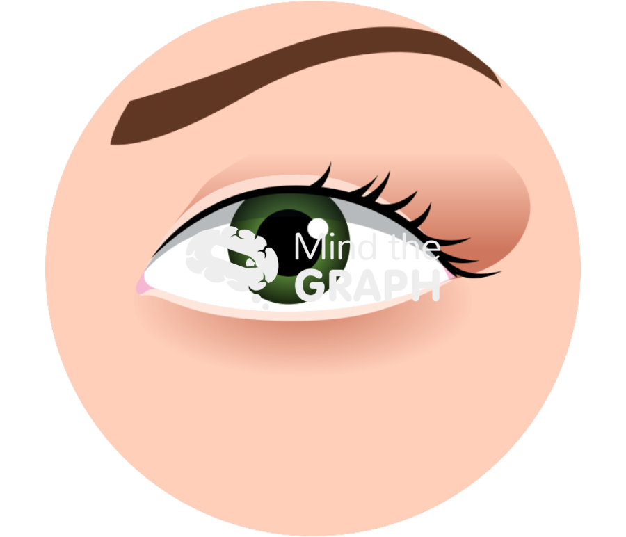 Eye woman zoom Icons, Symbols, Pictures, and Images