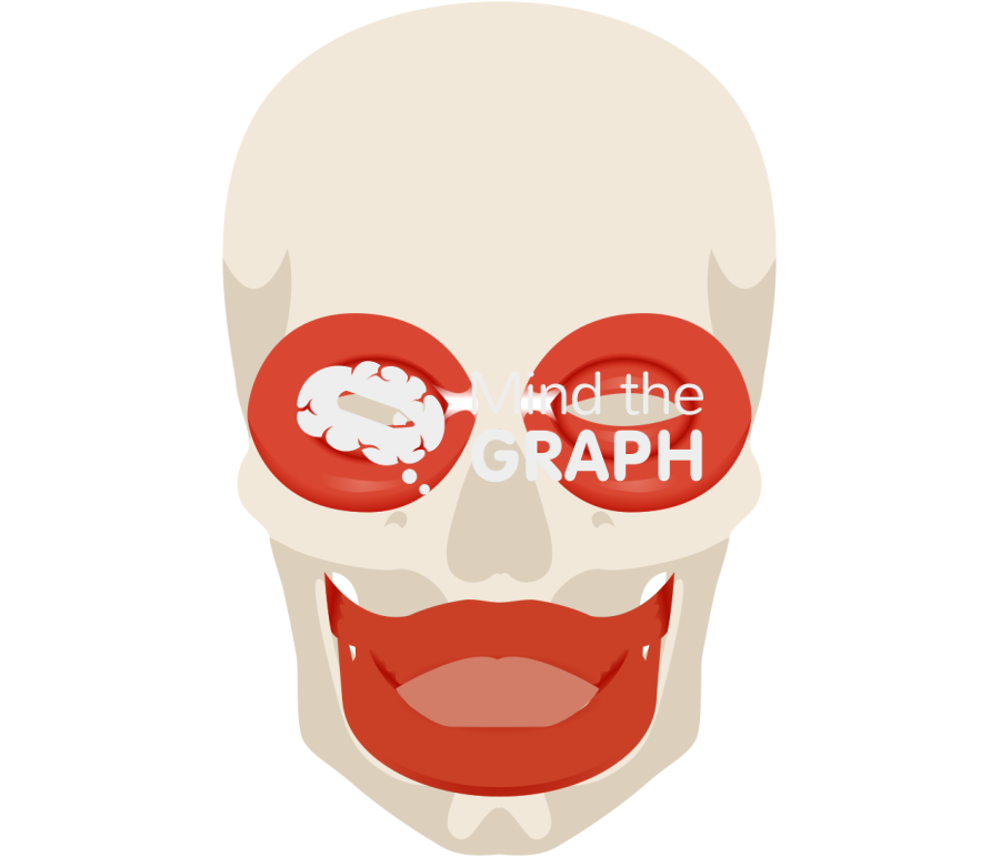 Face human cranium muscles orbicularis Icons, Symbols, Pictures, and Images
