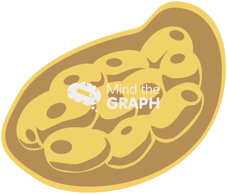 Fasciola hepatica embryonated egg Icons, Symbols, Pictures, and Images