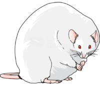 Fat mouse - Edit and Customize Icons of Fat mouse Fat mouse Icons, Symbols, Pictures, and Images