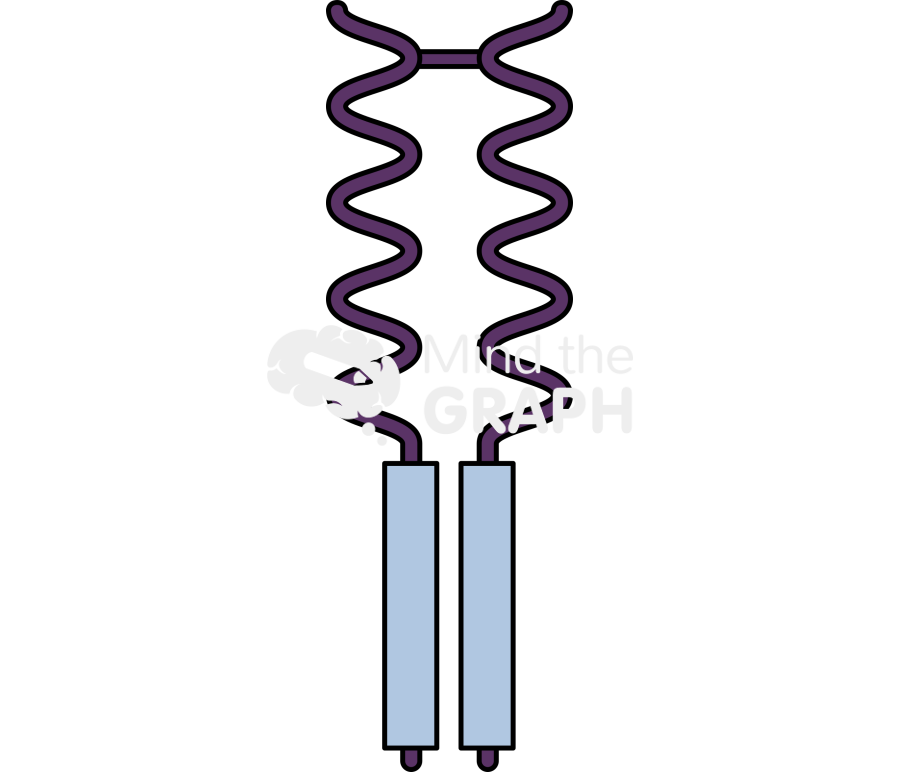 Fc receptor 6 Icons, Symbols, Pictures, and Images