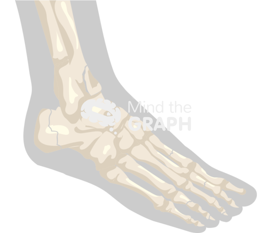 Feet fractures change color Icons, Symbols, Pictures, and Images