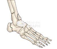 Feet fractures only bones Icons, Symbols, Pictures, and Images