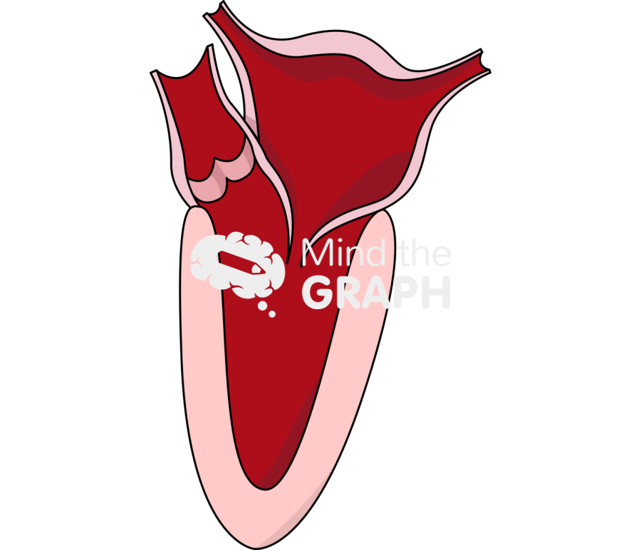 Female heart after bariatric surgery Icons, Symbols, Pictures, and Images