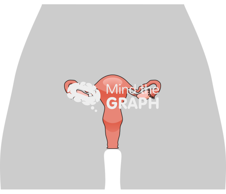 Female reproductive system shape front Icons, Symbols, Pictures, and Images