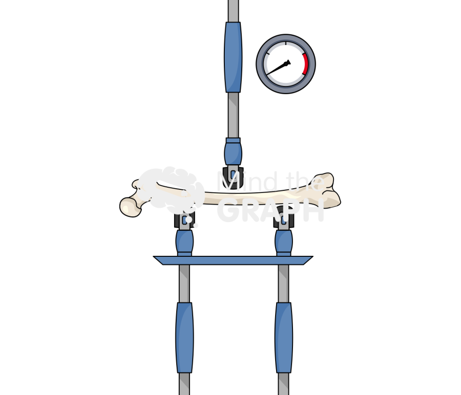 Femur compression test 1 Icons, Symbols, Pictures, and Images
