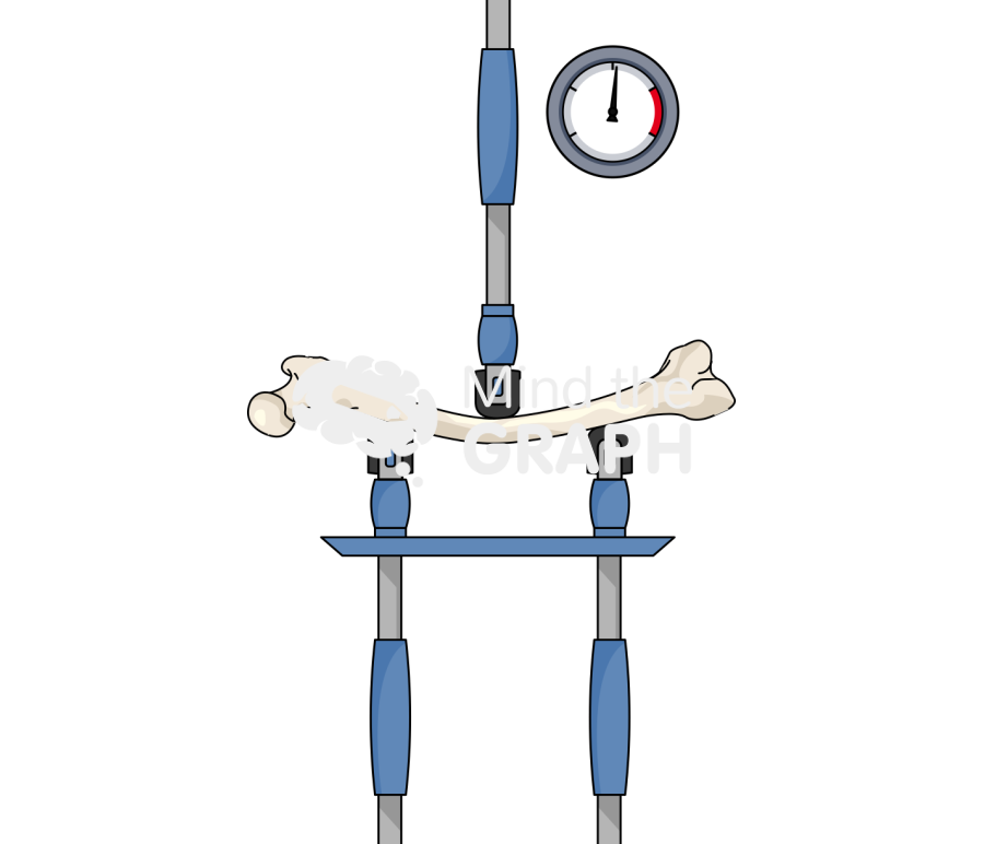 Femur compression test 2 Icons, Symbols, Pictures, and Images