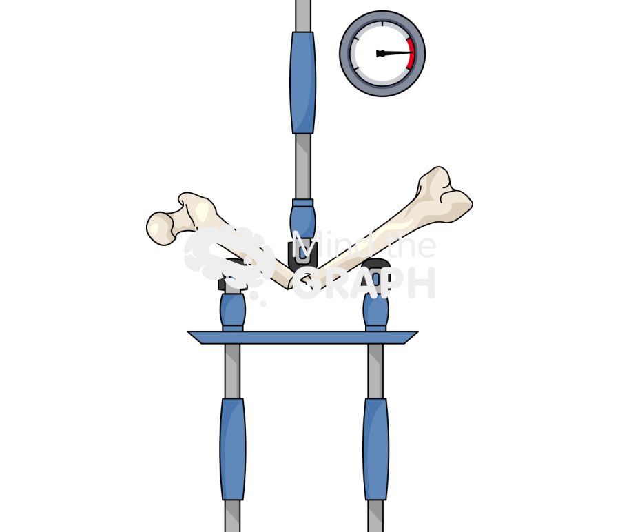 Femur compression test 3 Icons, Symbols, Pictures, and Images