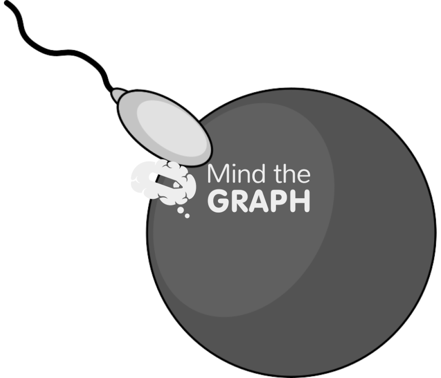 Fertilized ovum Icons, Symbols, Pictures, and Images