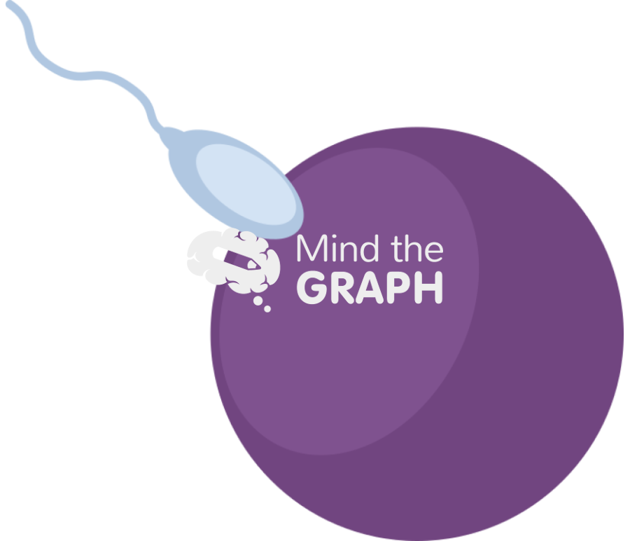 Fertilized ovum Icons, Symbols, Pictures, and Images