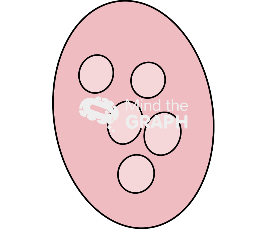 Fibril Icons, Symbols, Pictures, and Images
