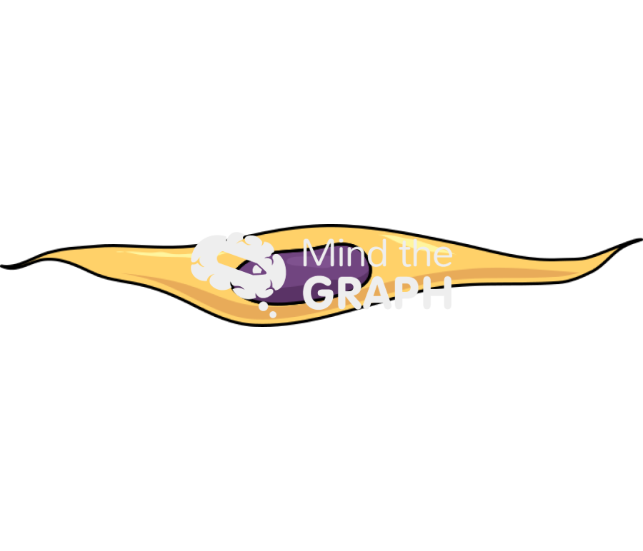 Fibrocyte 2 Icons, Symbols, Pictures, and Images