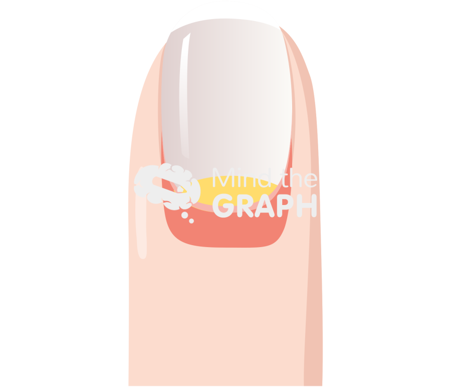 Finger nail front 2 Icons, Symbols, Pictures, and Images