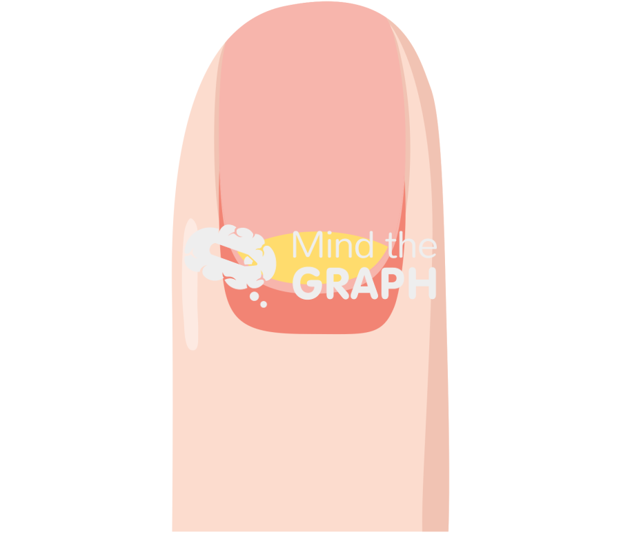 Finger nail front 3 Icons, Symbols, Pictures, and Images