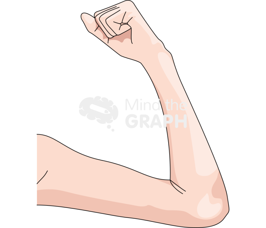 Flaccid flexed arm Icons, Symbols, Pictures, and Images