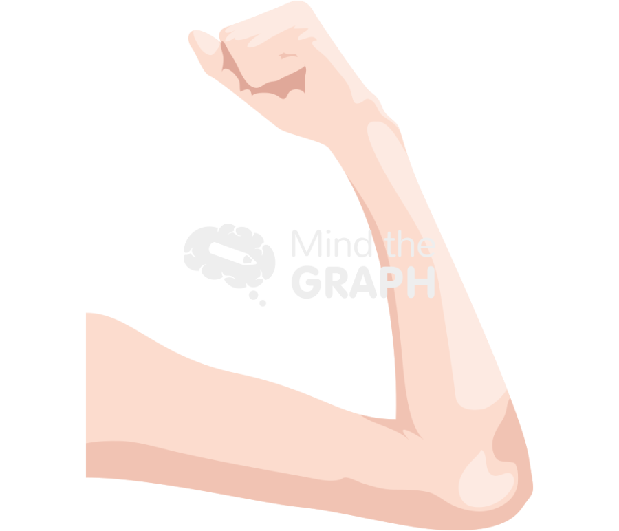 Flaccid flexed arm Icons, Symbols, Pictures, and Images