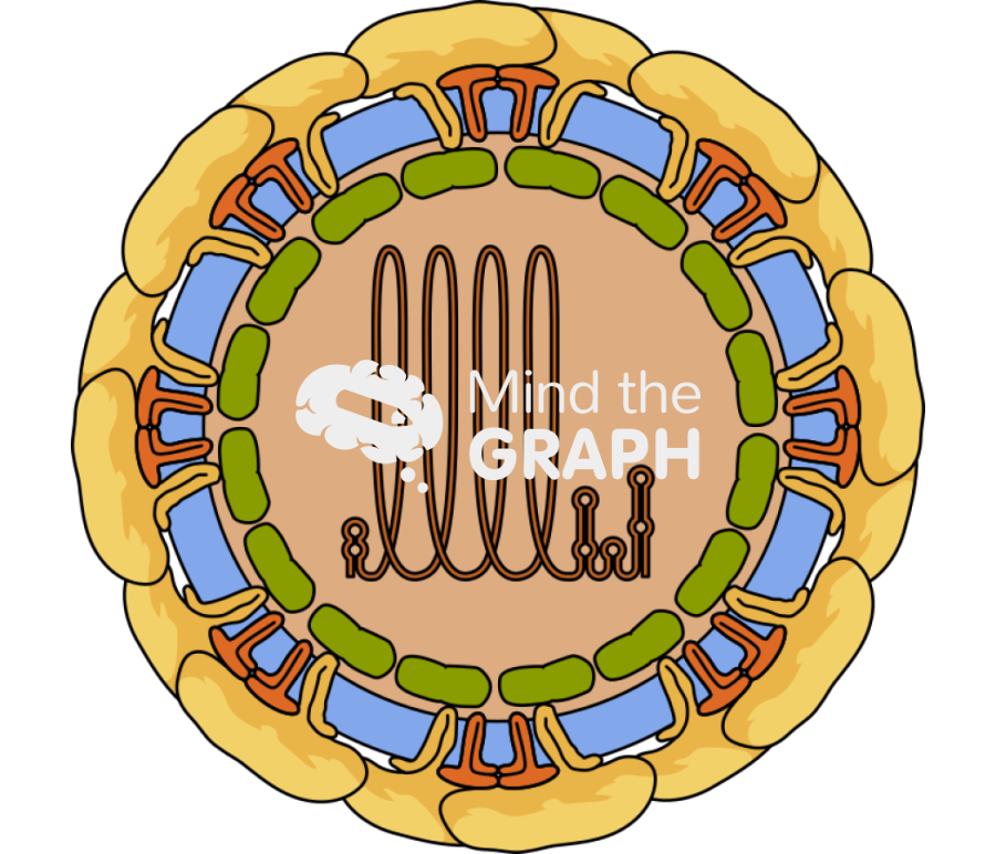 Flaviviridae zyka virus cut Icons, Symbols, Pictures, and Images