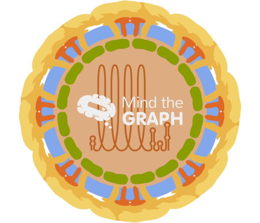 Flaviviridae zyka virus cut Icons, Symbols, Pictures, and Images