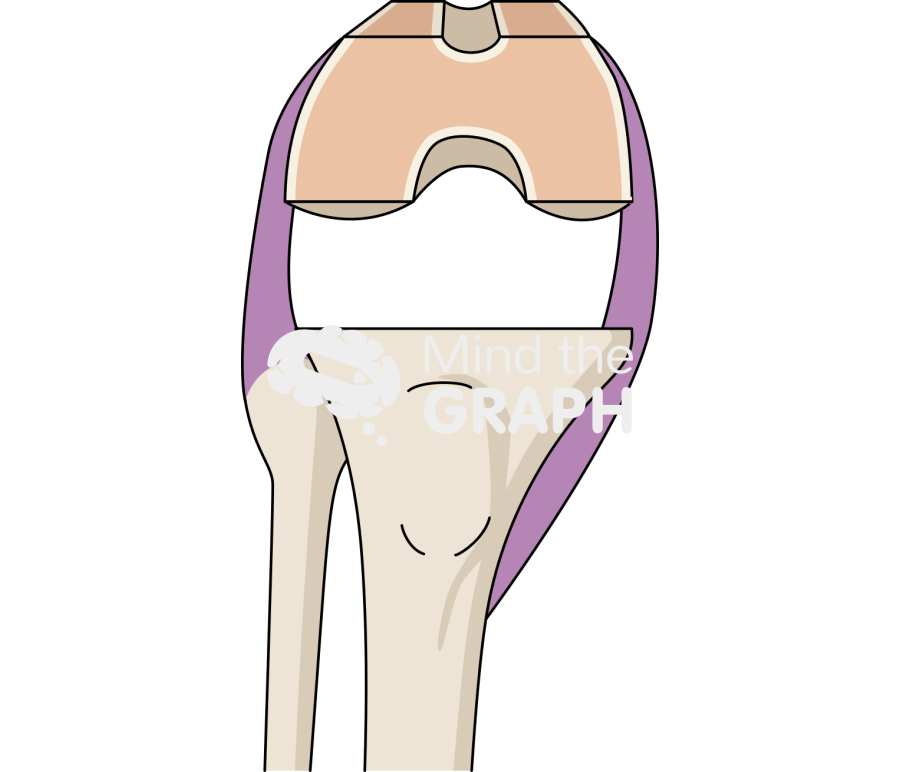 Flexion gap knee Icons, Symbols, Pictures, and Images