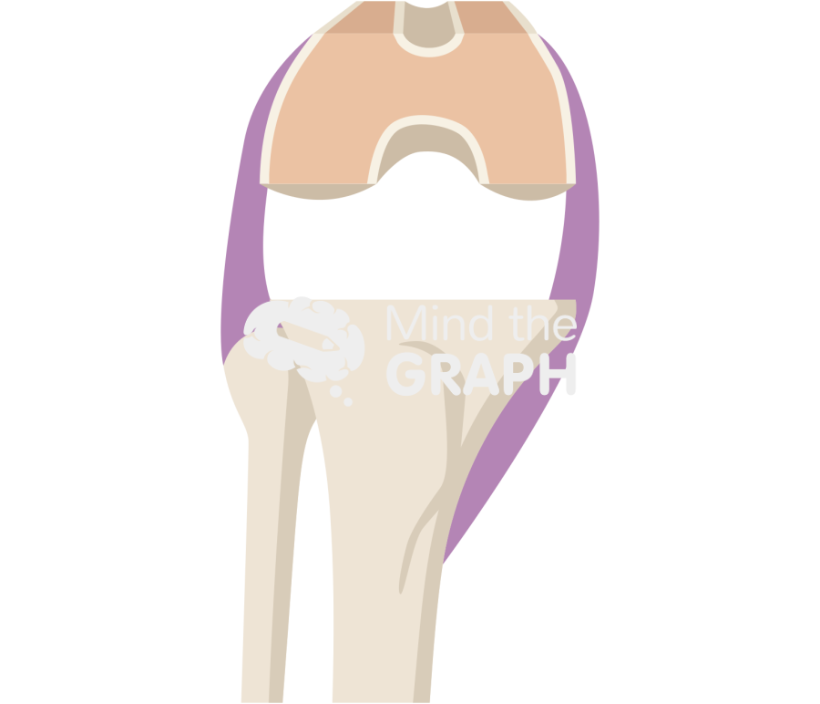Flexion gap knee Icons, Symbols, Pictures, and Images