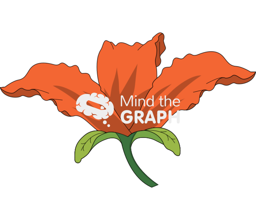 Flower structure external Icons, Symbols, Pictures, and Images