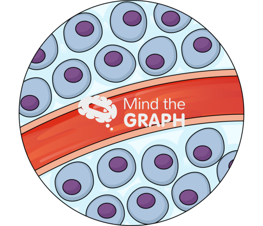 Fluid compartments zoom Icons, Symbols, Pictures, and Images